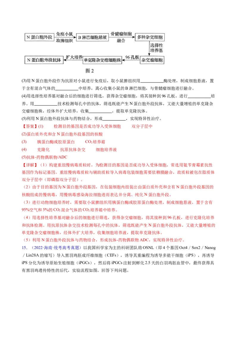 专题20细胞工程与胚胎工程-五年（2019-2023）高考生物真题分项汇编（全国通用）（解析版）_赠送：2008-2024全套高考真题_高考生物真题