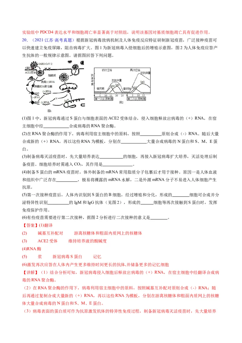 专题20细胞工程与胚胎工程-五年（2019-2023）高考生物真题分项汇编（全国通用）（解析版）_赠送：2008-2024全套高考真题_高考生物真题