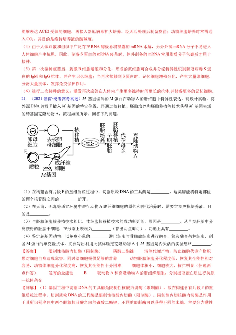 专题20细胞工程与胚胎工程-五年（2019-2023）高考生物真题分项汇编（全国通用）（解析版）_赠送：2008-2024全套高考真题_高考生物真题