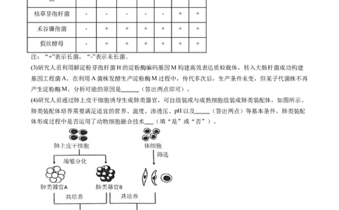 专题20细胞工程与胚胎工程-五年（2019-2023）高考生物真题分项汇编（全国通用）（解析版）_赠送：2008-2024全套高考真题_高考生物真题