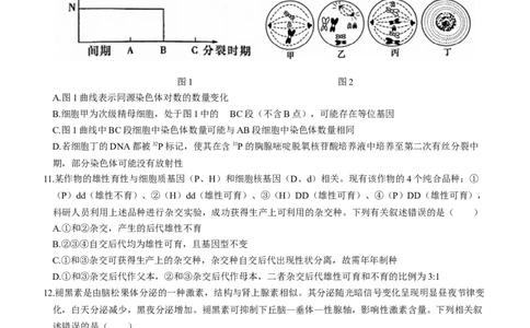 湖南省名校大联考长沙市一中2024届高三月考卷（一）生物试题_2023年9月_01每日更新_3号_2024届湖南省长沙市第一中学高三上学期月考(一)