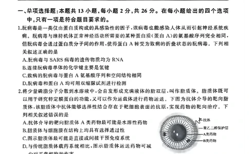 河北百师高三上(开学考)-生物试题+答案(1)_2023年9月_029月合集_2024届河北百师联盟高三上学期开学考