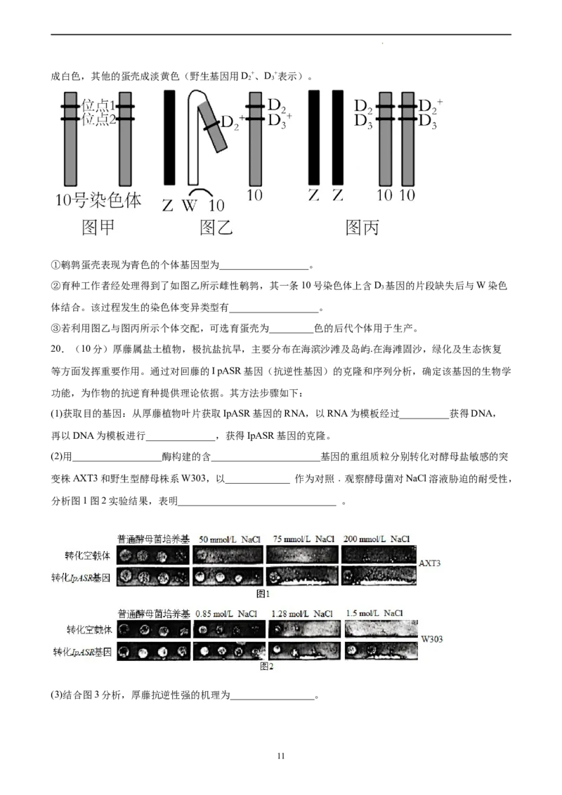 生物（重庆卷）（A4考试版）_2023高考押题卷_学易金卷-2023学科网押题卷（各科各版本）_2023学科网押题卷-学易金卷-生物_生物（重庆卷）-学易金卷：2023年高考考前押题密卷