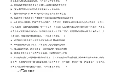 生物（重庆卷）（A4考试版）_2023高考押题卷_学易金卷-2023学科网押题卷（各科各版本）_2023学科网押题卷-学易金卷-生物_生物（重庆卷）-学易金卷：2023年高考考前押题密卷