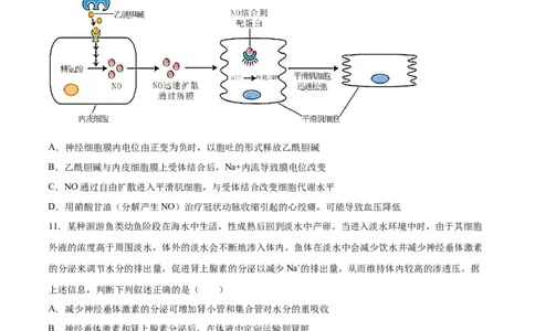 生物（重庆卷）（A4考试版）_2023高考押题卷_学易金卷-2023学科网押题卷（各科各版本）_2023学科网押题卷-学易金卷-生物_生物（重庆卷）-学易金卷：2023年高考考前押题密卷