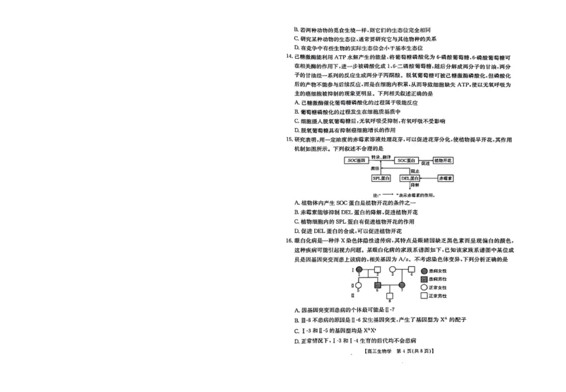 2024届江西省高三下学期3月联考生物试题_2024年3月_013月合集_2024届江西省金太阳联考高三下学期3月（24-381C）_江西省金太阳联考2024届高三下学期3月（24-381C）生物