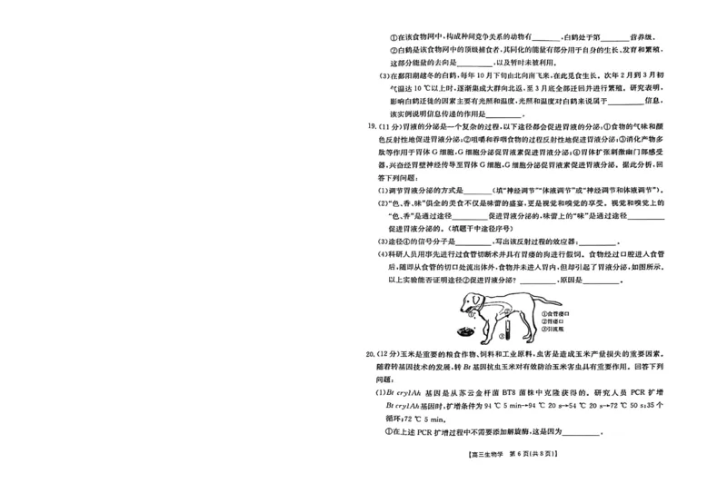 2024届江西省高三下学期3月联考生物试题_2024年3月_013月合集_2024届江西省金太阳联考高三下学期3月（24-381C）_江西省金太阳联考2024届高三下学期3月（24-381C）生物