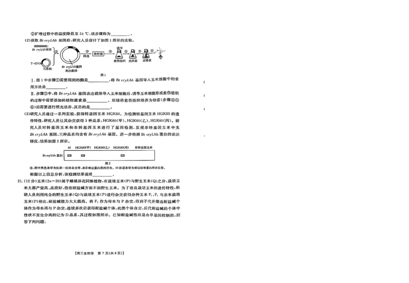 2024届江西省高三下学期3月联考生物试题_2024年3月_013月合集_2024届江西省金太阳联考高三下学期3月（24-381C）_江西省金太阳联考2024届高三下学期3月（24-381C）生物