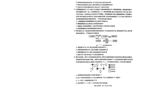 2024届江西省高三下学期3月联考生物试题_2024年3月_013月合集_2024届江西省金太阳联考高三下学期3月（24-381C）_江西省金太阳联考2024届高三下学期3月（24-381C）生物