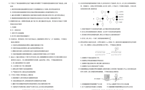 生物试卷_2023年7月_01每日更新_23号_2023届百师联盟高三8月开学摸底大联考（新高考）_广东省2023届高三上学期8月开学摸底大联考生物试题