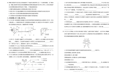 生物试卷_2023年7月_01每日更新_23号_2023届百师联盟高三8月开学摸底大联考（新高考）_广东省2023届高三上学期8月开学摸底大联考生物试题