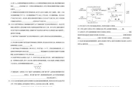生物试卷_2023年7月_01每日更新_23号_2023届百师联盟高三8月开学摸底大联考（新高考）_广东省2023届高三上学期8月开学摸底大联考生物试题