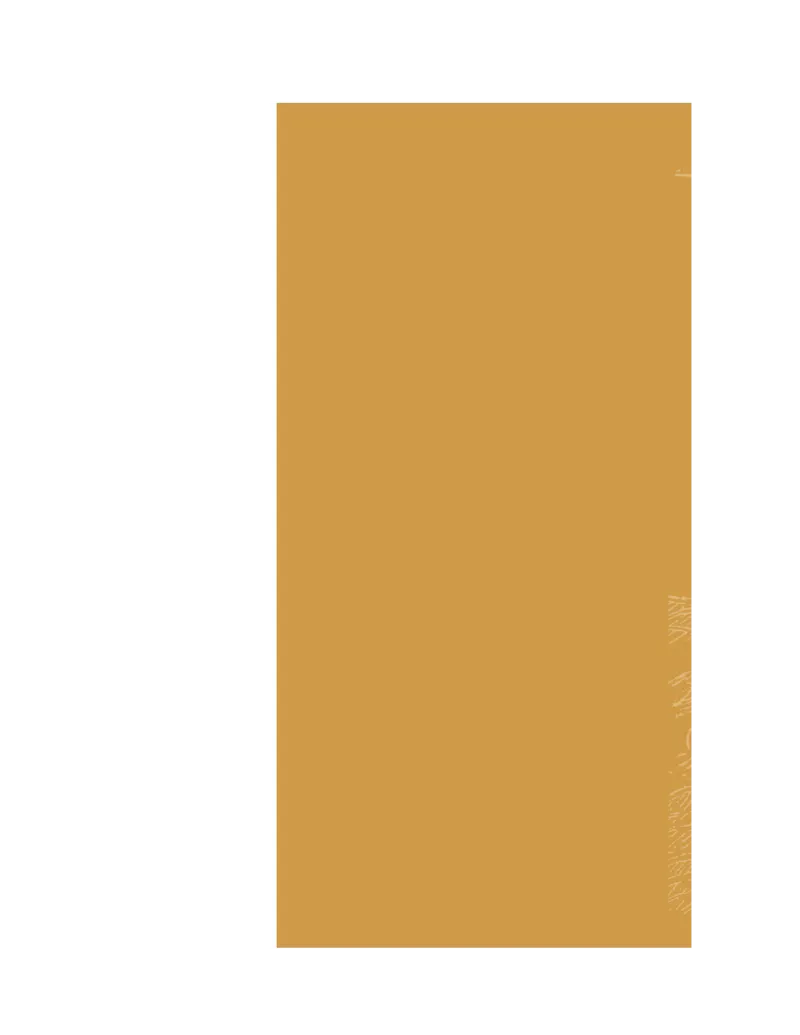 (NEW)水浒传_赠送小初高学霸笔记等_四大名著人民文学出版社_水浒传