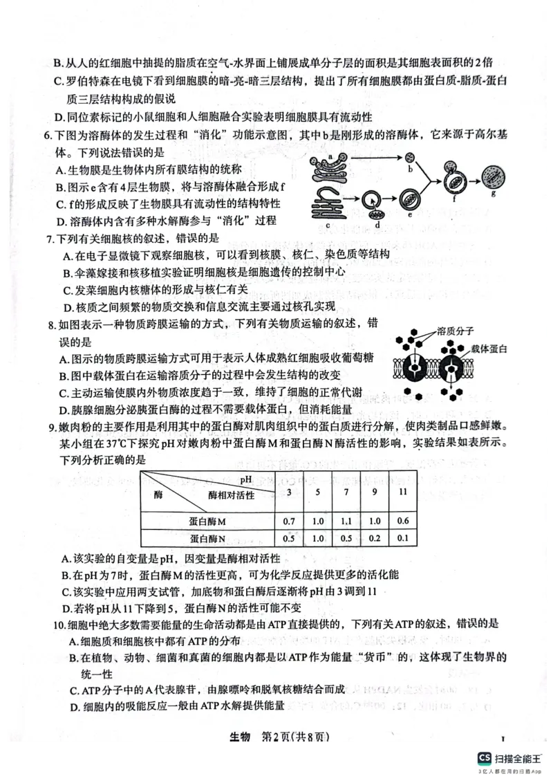 生物(1)_2023年10月_0210月合集_2024届陕西省菁师联盟高三10月质量监测考试_陕西省菁师联盟2024届高三10月质量监测考试生物
