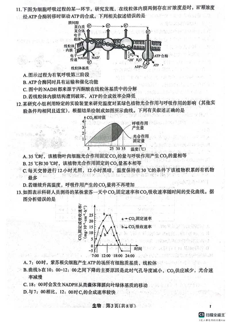 生物(1)_2023年10月_0210月合集_2024届陕西省菁师联盟高三10月质量监测考试_陕西省菁师联盟2024届高三10月质量监测考试生物