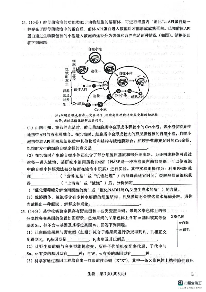 生物(1)_2023年10月_0210月合集_2024届陕西省菁师联盟高三10月质量监测考试_陕西省菁师联盟2024届高三10月质量监测考试生物