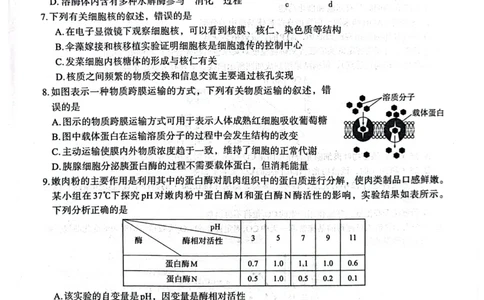 生物(1)_2023年10月_0210月合集_2024届陕西省菁师联盟高三10月质量监测考试_陕西省菁师联盟2024届高三10月质量监测考试生物