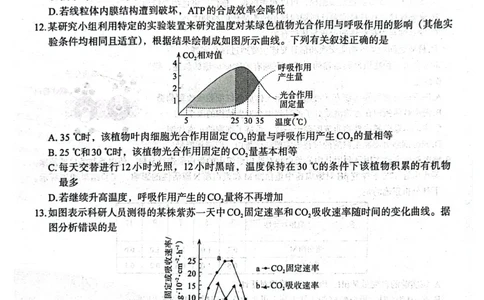 生物(1)_2023年10月_0210月合集_2024届陕西省菁师联盟高三10月质量监测考试_陕西省菁师联盟2024届高三10月质量监测考试生物