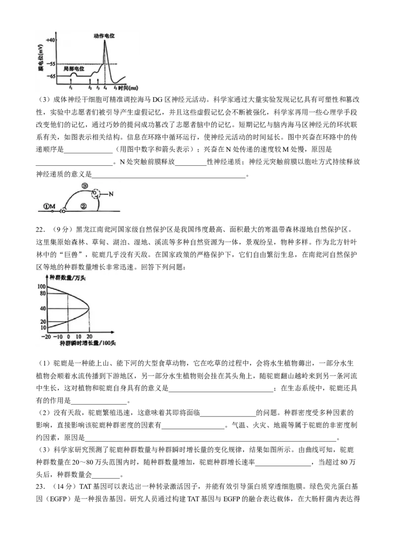 2024届河北省普通高中学业水平选择性考试生物试题(1)_2024年5月_025月合集_2024届河北省普通高中学业水平选择性考试