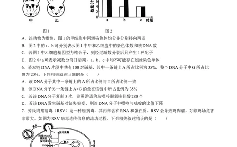2024届河北省普通高中学业水平选择性考试生物试题(1)_2024年5月_025月合集_2024届河北省普通高中学业水平选择性考试