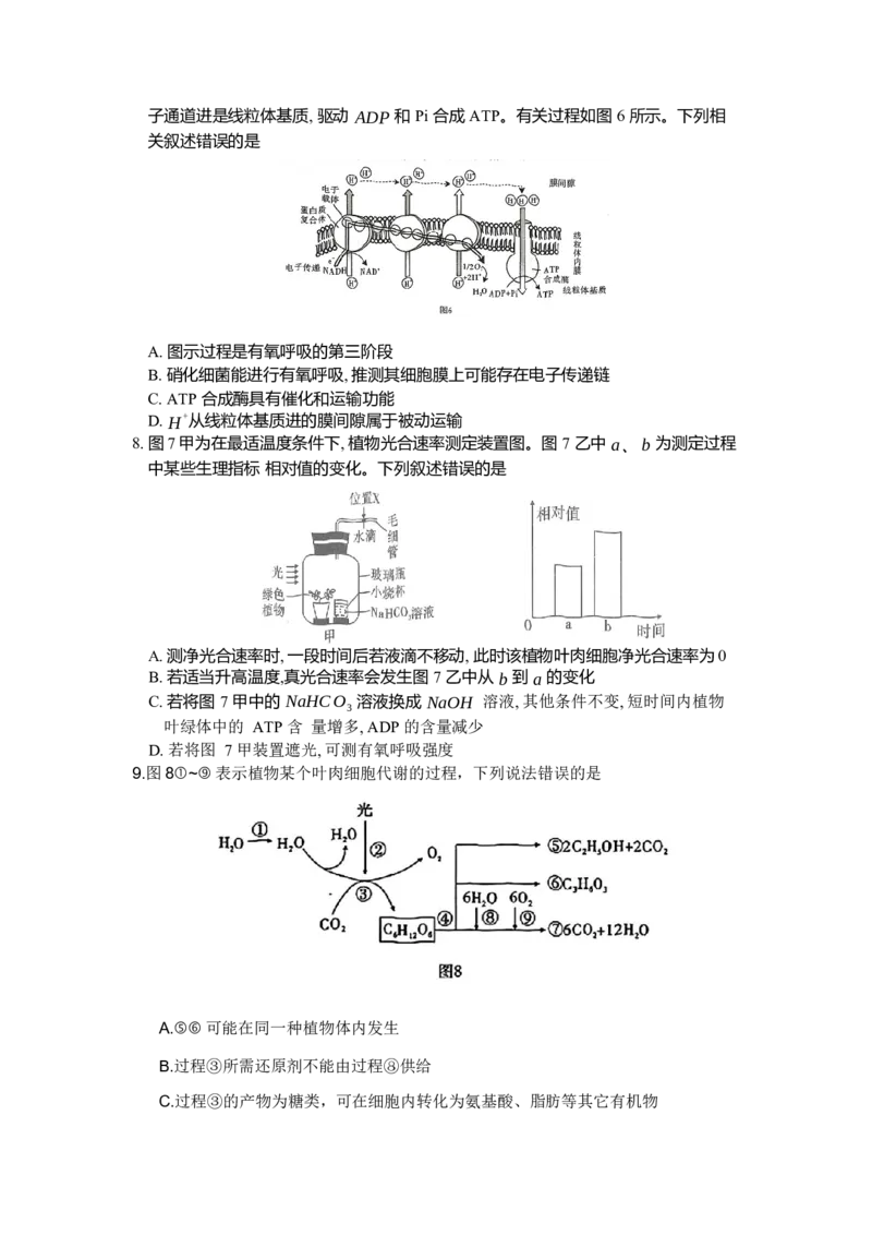 重庆市南开中学高2024届高三第二次质量检测生物试题(1)_2023年10月_0210月合集_2024届重庆市南开中学高高三质量检测（二）_重庆市南开中学高2024届高三质量检测（二）生物