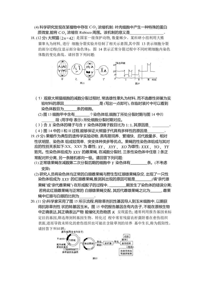 重庆市南开中学高2024届高三第二次质量检测生物试题(1)_2023年10月_0210月合集_2024届重庆市南开中学高高三质量检测（二）_重庆市南开中学高2024届高三质量检测（二）生物