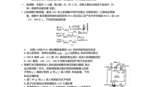 重庆市南开中学高2024届高三第二次质量检测生物试题(1)_2023年10月_0210月合集_2024届重庆市南开中学高高三质量检测（二）_重庆市南开中学高2024届高三质量检测（二）生物