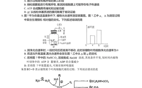 重庆市南开中学高2024届高三第二次质量检测生物试题(1)_2023年10月_0210月合集_2024届重庆市南开中学高高三质量检测（二）_重庆市南开中学高2024届高三质量检测（二）生物