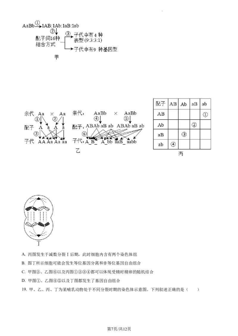 精品解析：内蒙古包头铁路一中2023-2024学年高三上学期第一次月考生物试题（原卷版）(1)_2023年10月_0210月合集_2024届内蒙古包头市包头铁路第一中学高三上学期第一次月考
