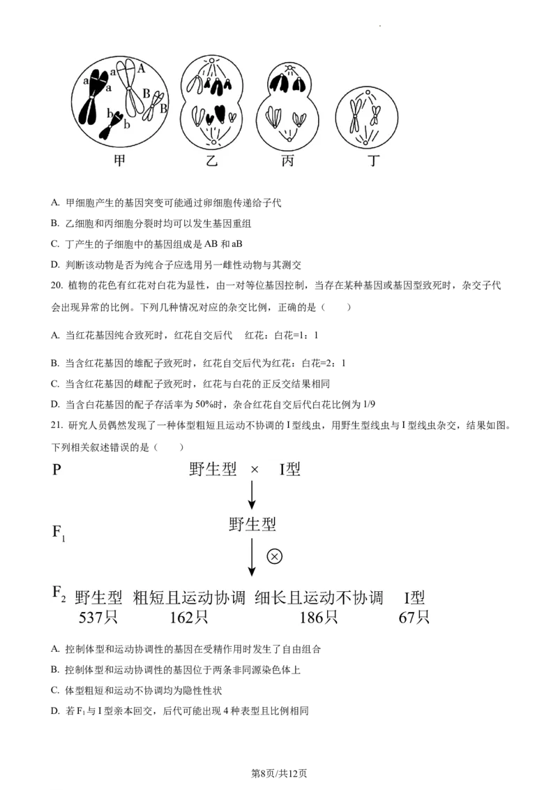 精品解析：内蒙古包头铁路一中2023-2024学年高三上学期第一次月考生物试题（原卷版）(1)_2023年10月_0210月合集_2024届内蒙古包头市包头铁路第一中学高三上学期第一次月考