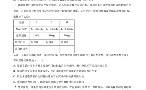 精品解析：内蒙古包头铁路一中2023-2024学年高三上学期第一次月考生物试题（原卷版）(1)_2023年10月_0210月合集_2024届内蒙古包头市包头铁路第一中学高三上学期第一次月考