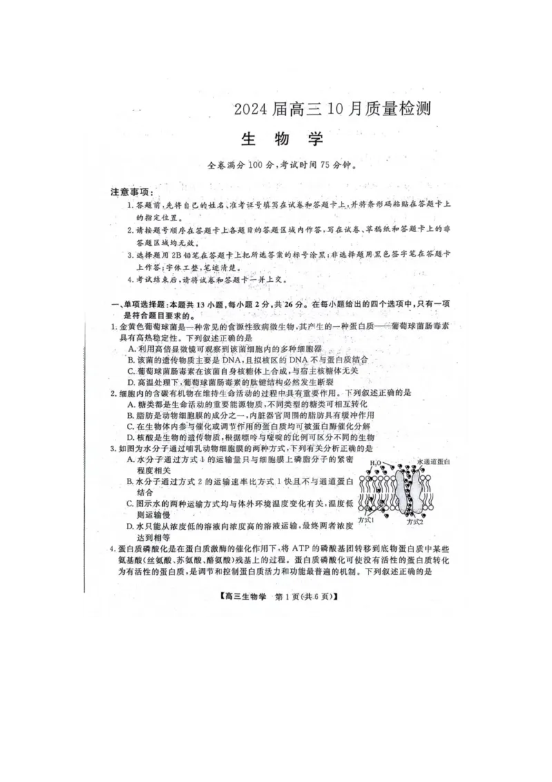生物(1)_2023年10月_0210月合集_2024届河北省金科大联考高三上学期10月联考（24046C）_河北省金科大联考2024届高三上学期10月质量检测生物
