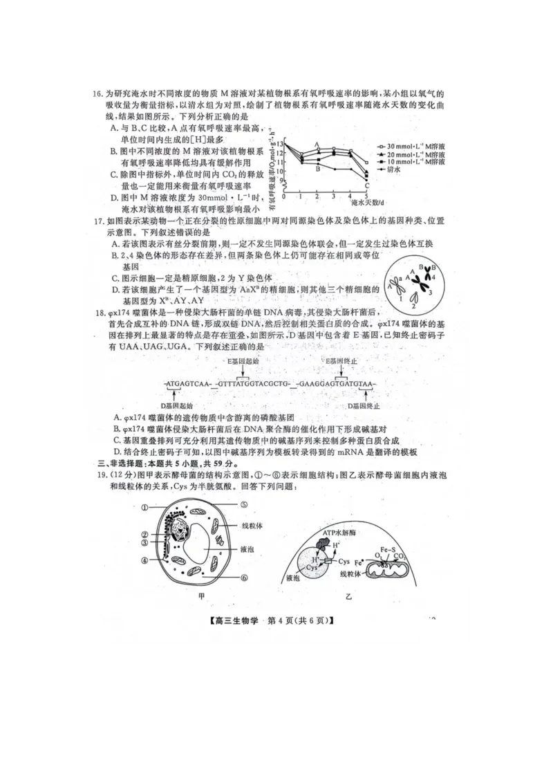 生物(1)_2023年10月_0210月合集_2024届河北省金科大联考高三上学期10月联考（24046C）_河北省金科大联考2024届高三上学期10月质量检测生物