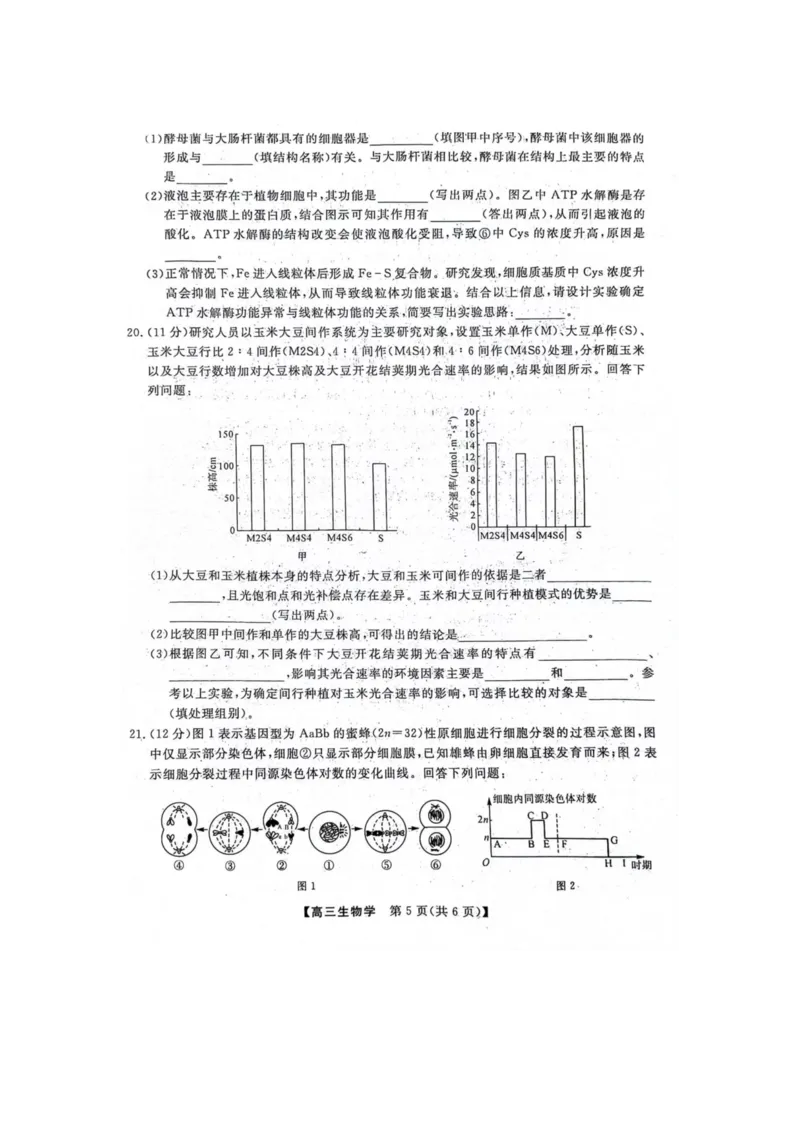 生物(1)_2023年10月_0210月合集_2024届河北省金科大联考高三上学期10月联考（24046C）_河北省金科大联考2024届高三上学期10月质量检测生物