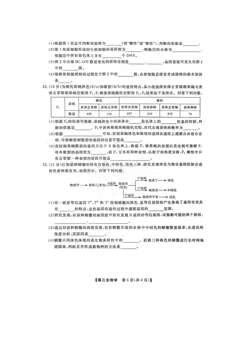 生物(1)_2023年10月_0210月合集_2024届河北省金科大联考高三上学期10月联考（24046C）_河北省金科大联考2024届高三上学期10月质量检测生物