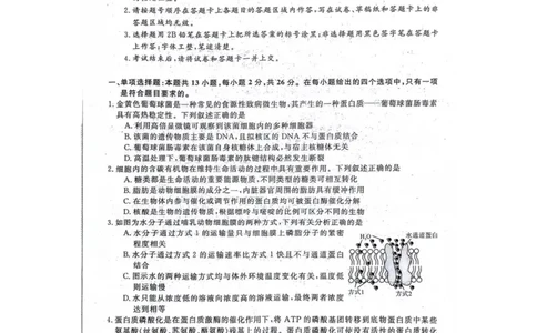 生物(1)_2023年10月_0210月合集_2024届河北省金科大联考高三上学期10月联考（24046C）_河北省金科大联考2024届高三上学期10月质量检测生物