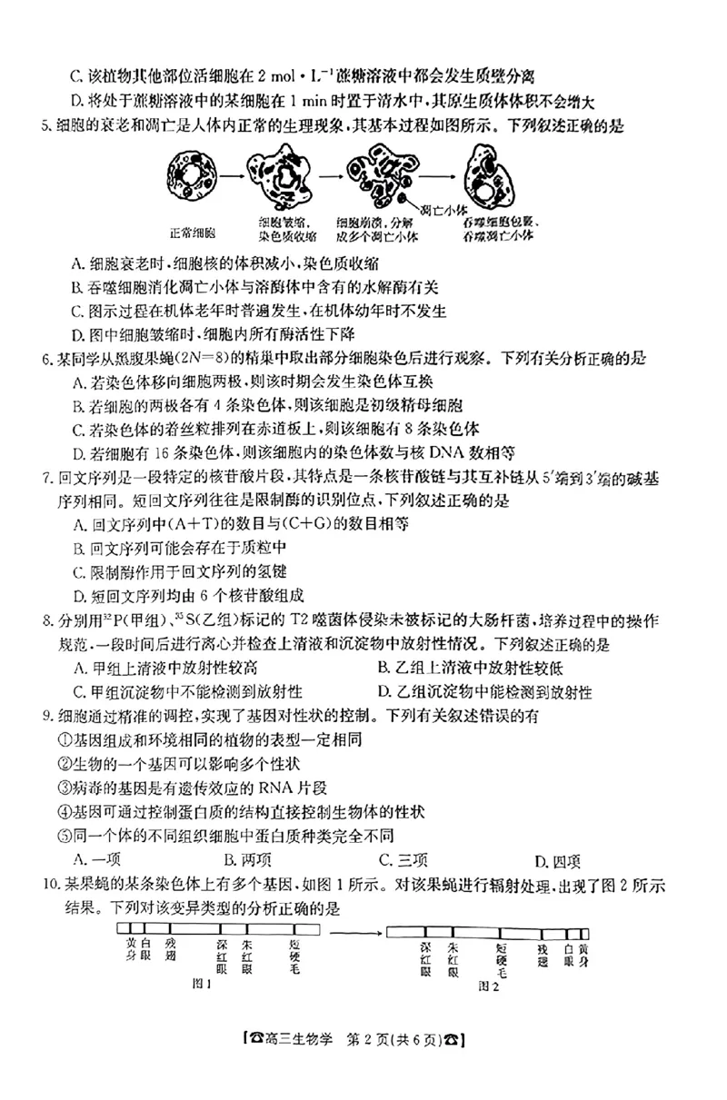 生物(1)_2023年10月_0210月合集_2024届湖南高三10月金太阳联考（电话角标）_2024届湖南高三10月金太阳联考（电话角标）生物