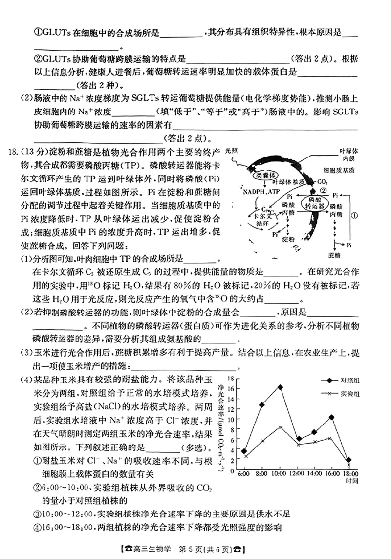 生物(1)_2023年10月_0210月合集_2024届湖南高三10月金太阳联考（电话角标）_2024届湖南高三10月金太阳联考（电话角标）生物