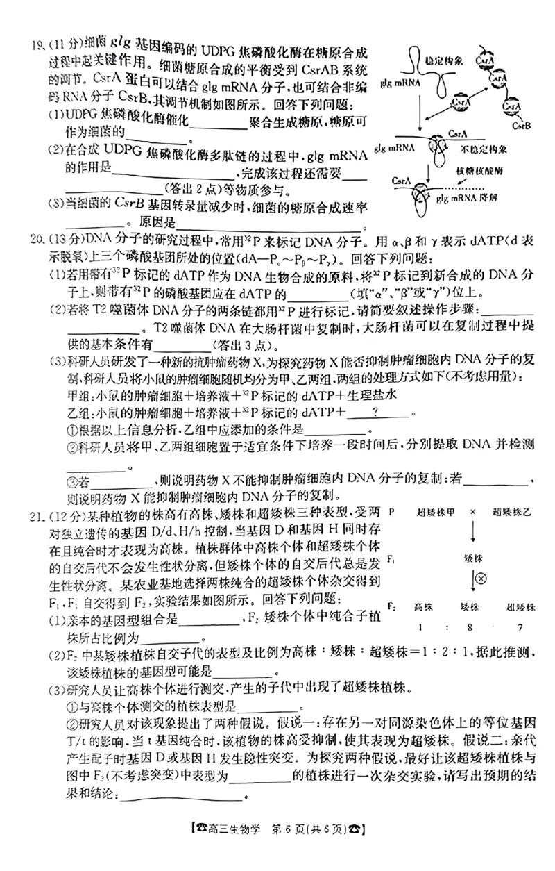 生物(1)_2023年10月_0210月合集_2024届湖南高三10月金太阳联考（电话角标）_2024届湖南高三10月金太阳联考（电话角标）生物