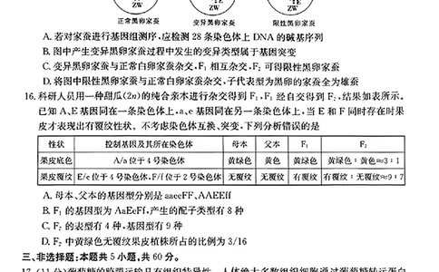 生物(1)_2023年10月_0210月合集_2024届湖南高三10月金太阳联考（电话角标）_2024届湖南高三10月金太阳联考（电话角标）生物