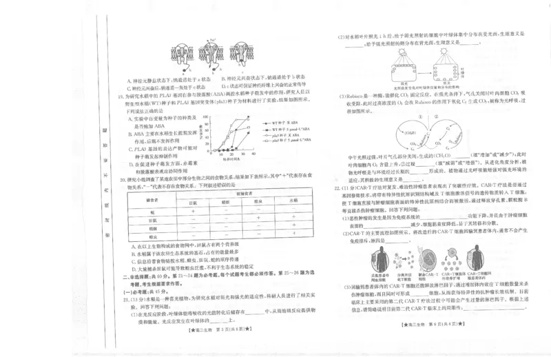 生物_2023年8月_01每日更新_30号_2024届陕西高三金太阳8月联考8.26-27（24-06C）_试卷