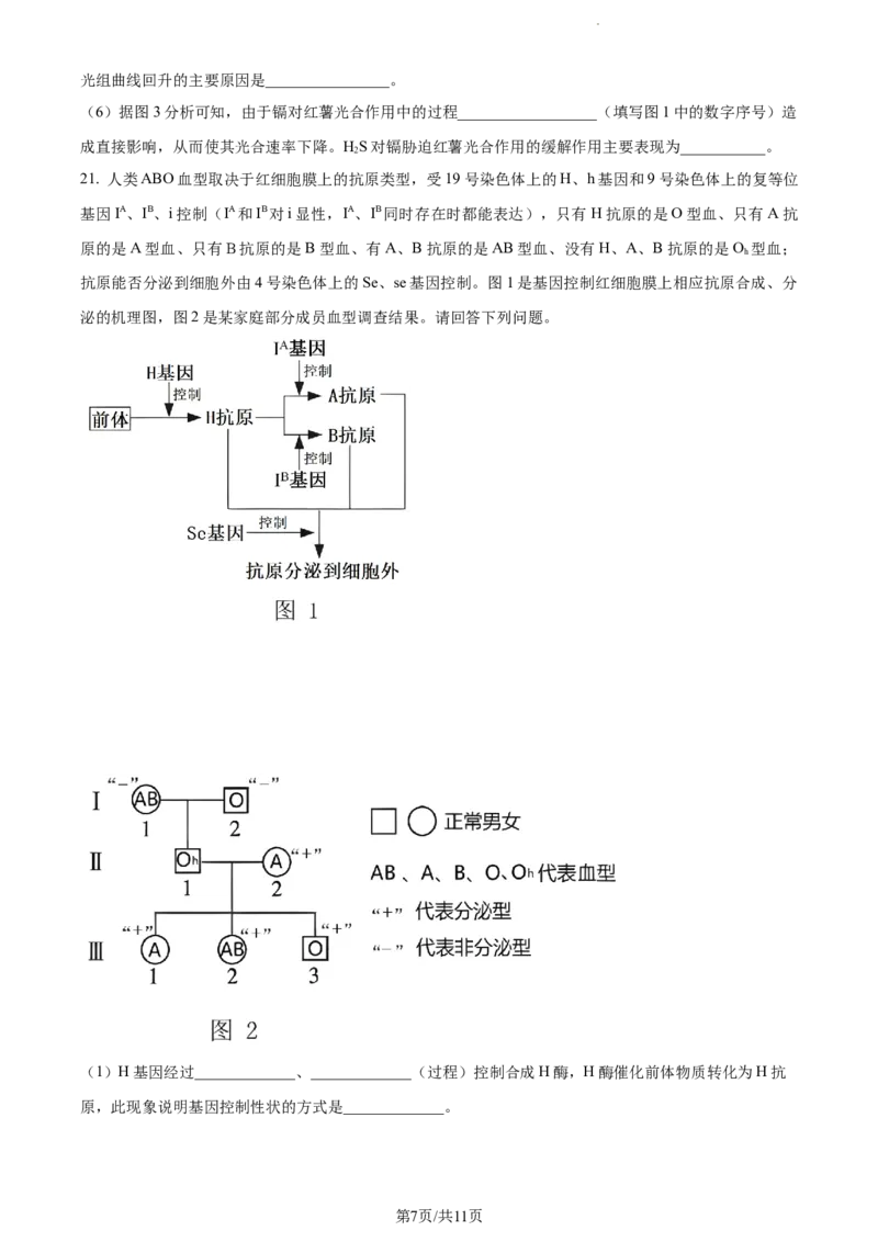 精品解析：江苏省泰州中学2023-2024学年高三上学期期初调研考试生物试题（原卷版）_2023年9月_01每日更新_13号_2024届江苏省泰州中学高三上学期期初调研考试
