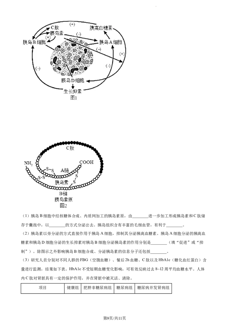 精品解析：江苏省泰州中学2023-2024学年高三上学期期初调研考试生物试题（原卷版）_2023年9月_01每日更新_13号_2024届江苏省泰州中学高三上学期期初调研考试