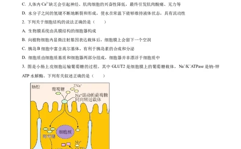 精品解析：江苏省泰州中学2023-2024学年高三上学期期初调研考试生物试题（原卷版）_2023年9月_01每日更新_13号_2024届江苏省泰州中学高三上学期期初调研考试