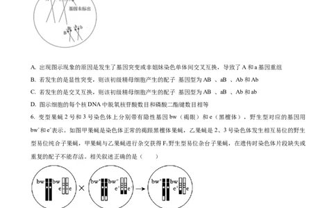 精品解析：江苏省泰州中学2023-2024学年高三上学期期初调研考试生物试题（原卷版）_2023年9月_01每日更新_13号_2024届江苏省泰州中学高三上学期期初调研考试