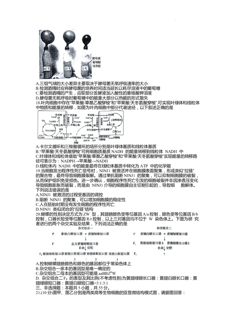 高三生物_2023年9月_01每日更新_6号_2024届山东省新高考联合质量测评高三上学期开学联考_山东省新高考联合质量测评2024届高三上学期开学联考生物