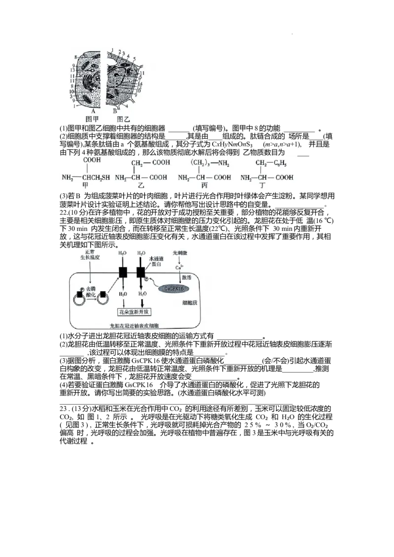 高三生物_2023年9月_01每日更新_6号_2024届山东省新高考联合质量测评高三上学期开学联考_山东省新高考联合质量测评2024届高三上学期开学联考生物