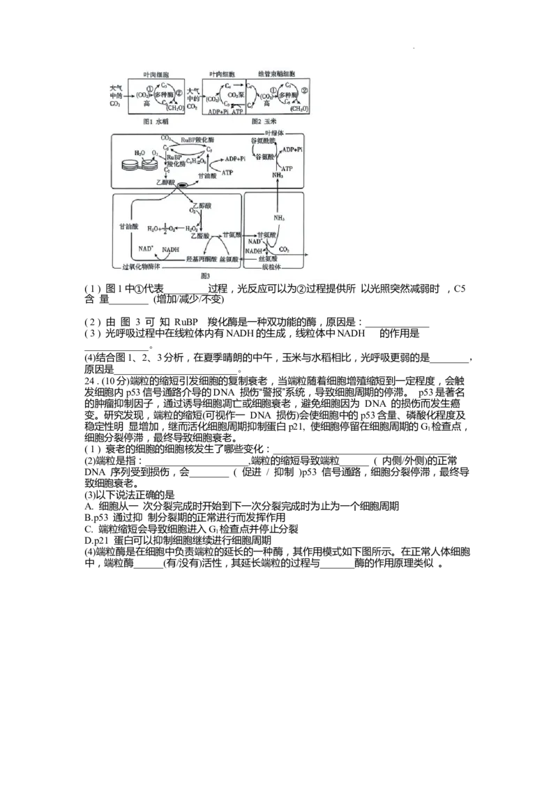 高三生物_2023年9月_01每日更新_6号_2024届山东省新高考联合质量测评高三上学期开学联考_山东省新高考联合质量测评2024届高三上学期开学联考生物
