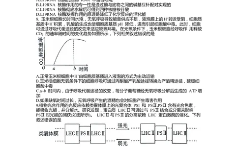 高三生物_2023年9月_01每日更新_6号_2024届山东省新高考联合质量测评高三上学期开学联考_山东省新高考联合质量测评2024届高三上学期开学联考生物