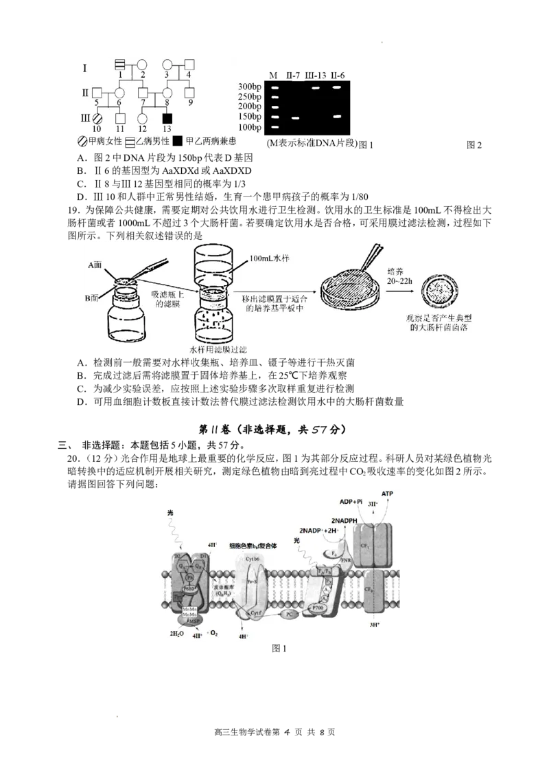 江苏省南京市2022-2023学年高三上学期9月学情调研试题+生物_2023年8月_01每日更新_17号_2023届江苏省南京市学期期初学情调研_052023江苏省南京市学期期初学情调研生物含答案